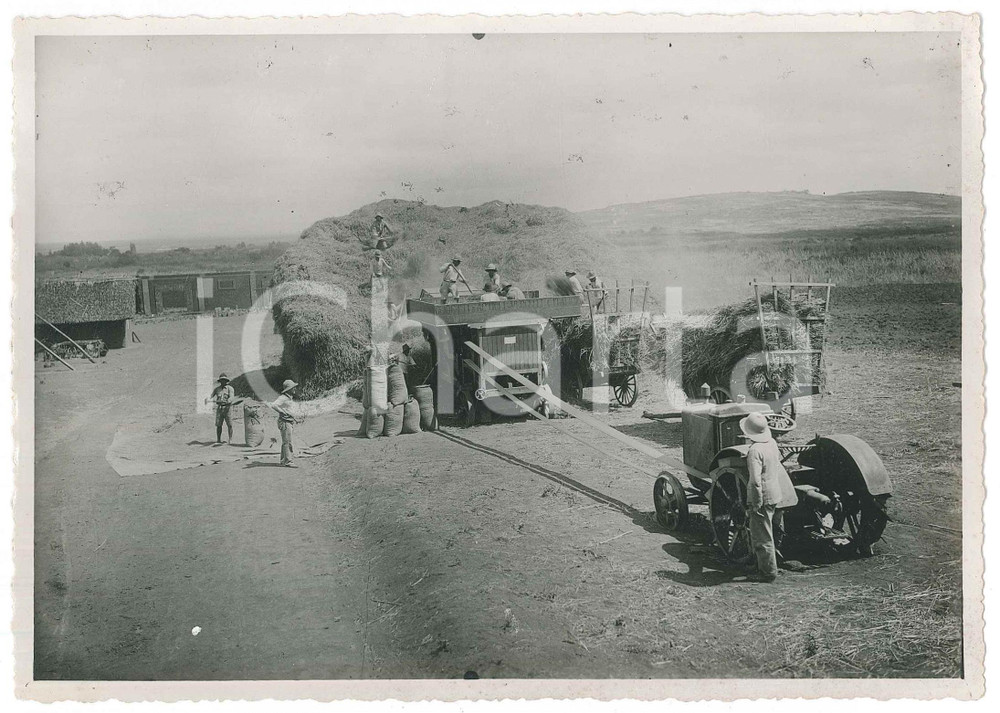 Fotografia d epoca originale 1935 ca MADAGASCAR  RISICOLTURA  Lavoro con macchina GUIDETTI e ARTIOLI Foto 1
