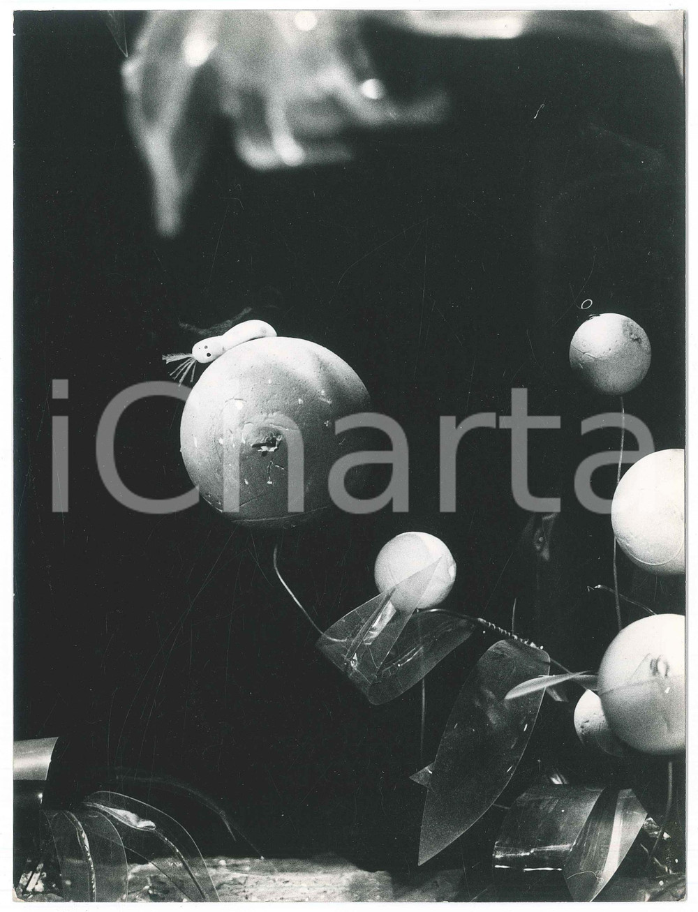Fotografia d epoca originale 1970 RAI  L ORSO GONGO di Gici GANZINI GRANATA Giorgio FERRARI Foto 24x18 4 1
