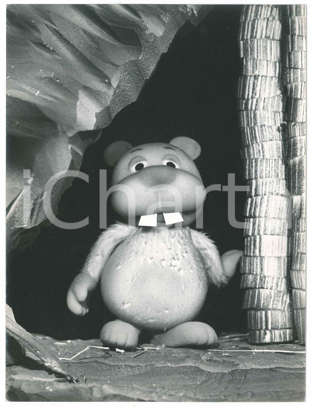 Fotografia d epoca originale 1970 RAI  L ORSO GONGO di Gici GANZINI GRANATA Giorgio FERRARI Foto 18x24 10 1