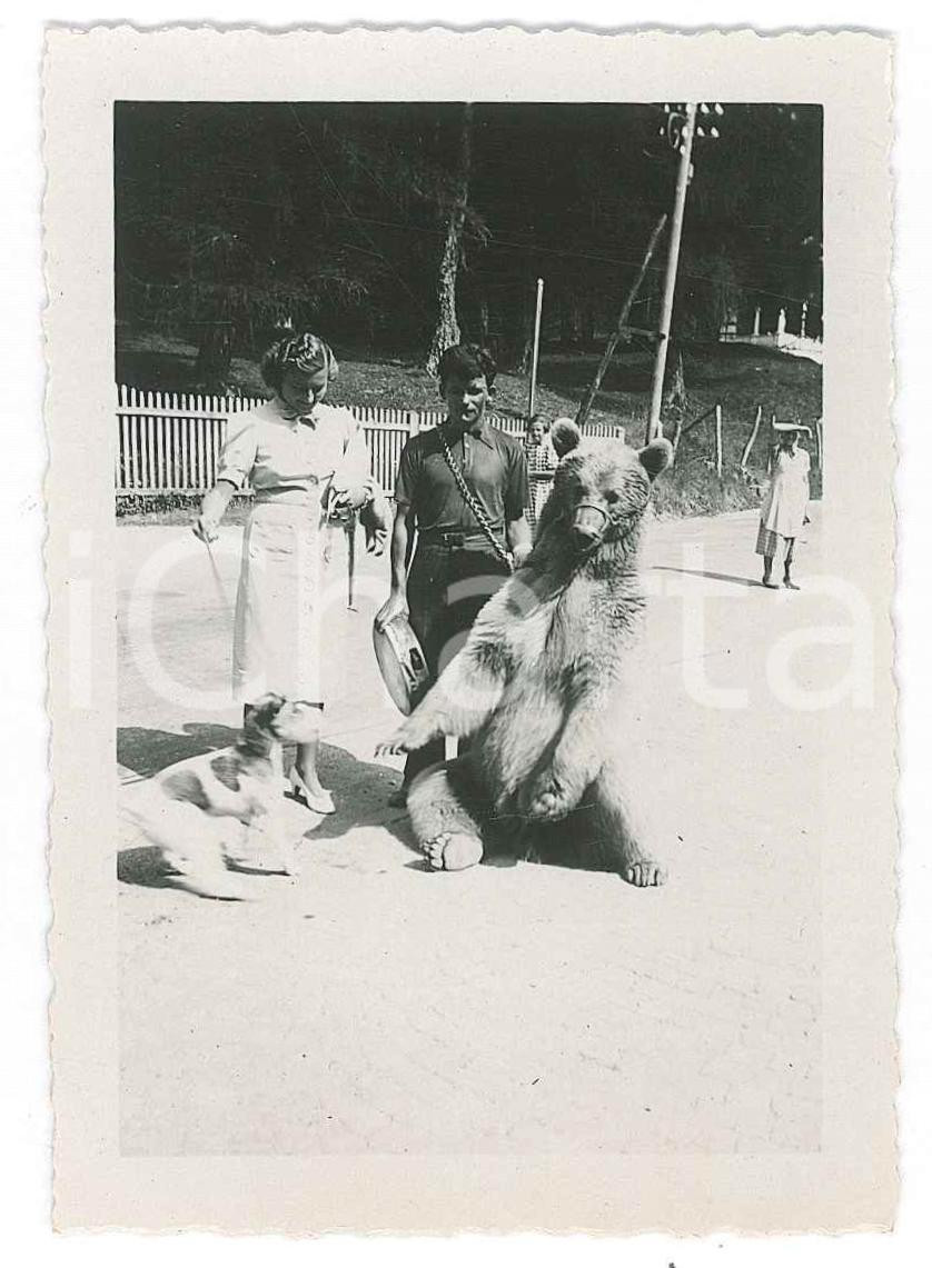 Fotografia d epoca originale 1938 PASSO DELLA MENDOLA  COSTUME  Coppia con orso al guinzaglio  Foto 7x9 cm 1