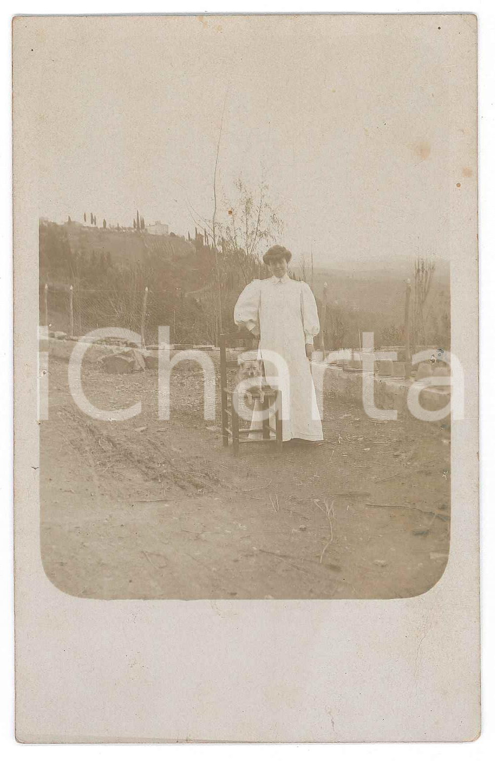 Cartolina originale da collezione 1920 ca FRANCE ? Lady with dog on a chair  Portrait  Postcard FP NV 1