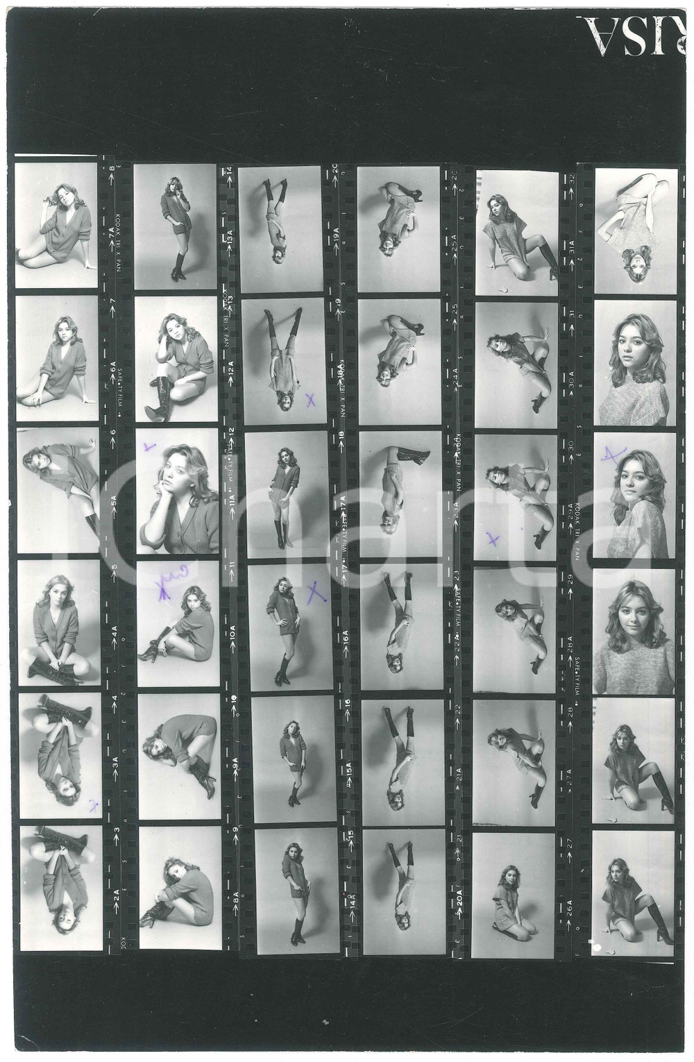 Fotografia d epoca originale 1980 ca ITALIA  MUSICA Elisabetta VIRGILI Foto con 36 provini 20x31 cm 1