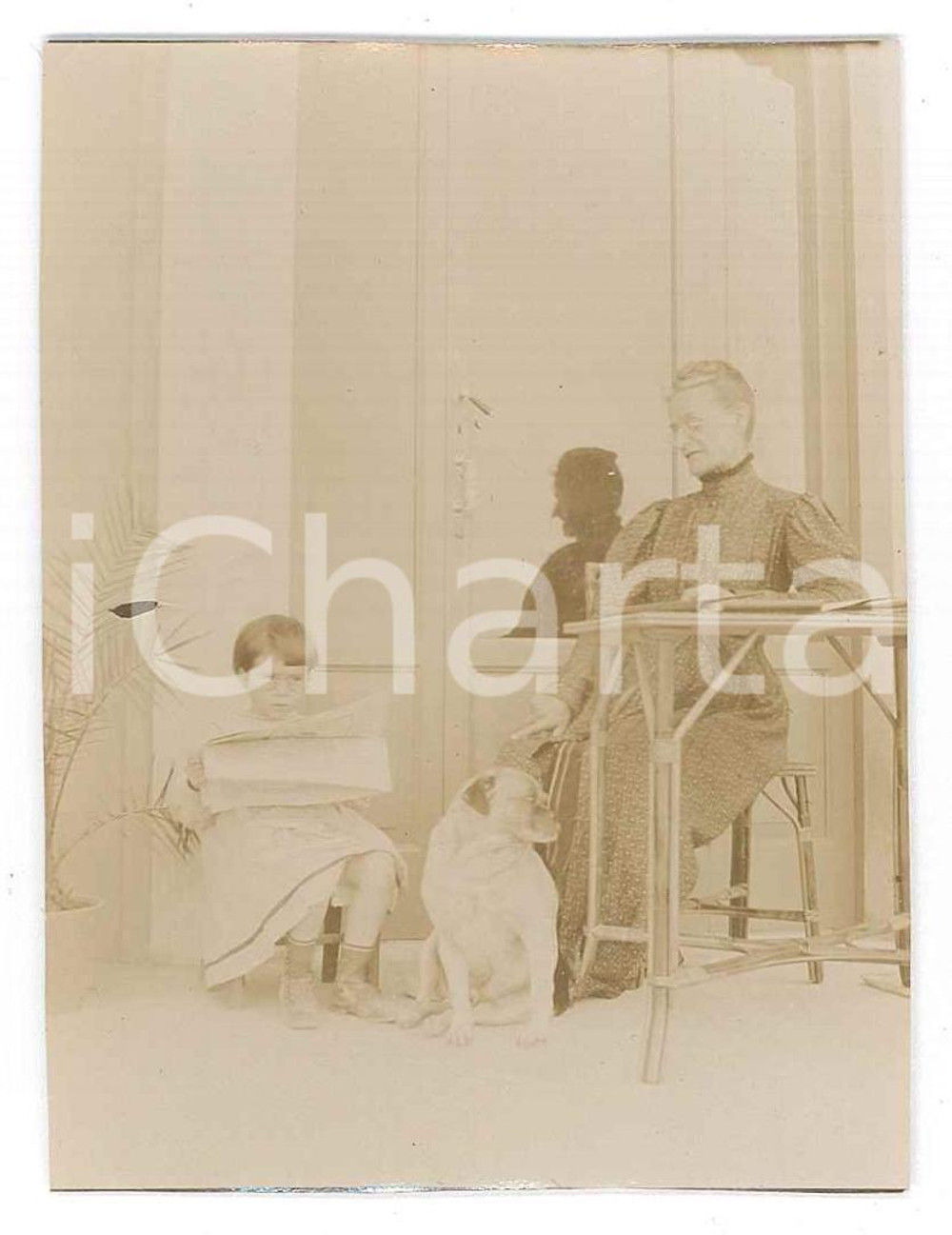 Fotografia d epoca originale 1900 ca ITALIA Donna con bambina che legge il giornale e un cane  Foto anonima 1