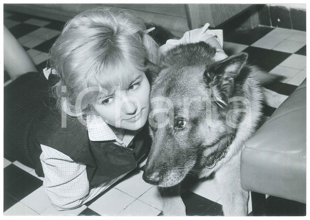 Fotografia d epoca originale 1960 ca FRANCE Chanteuse PEGGY Evelyn LESOURD avec un chien Photo 21 1
