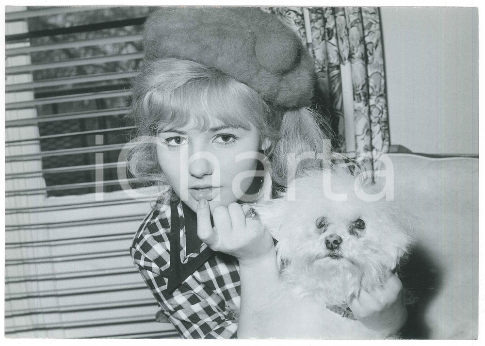Fotografia d epoca originale 1960 ca FRANCE Chanteuse PEGGY Evelyn LESOURD avec un chien Photo 1 1