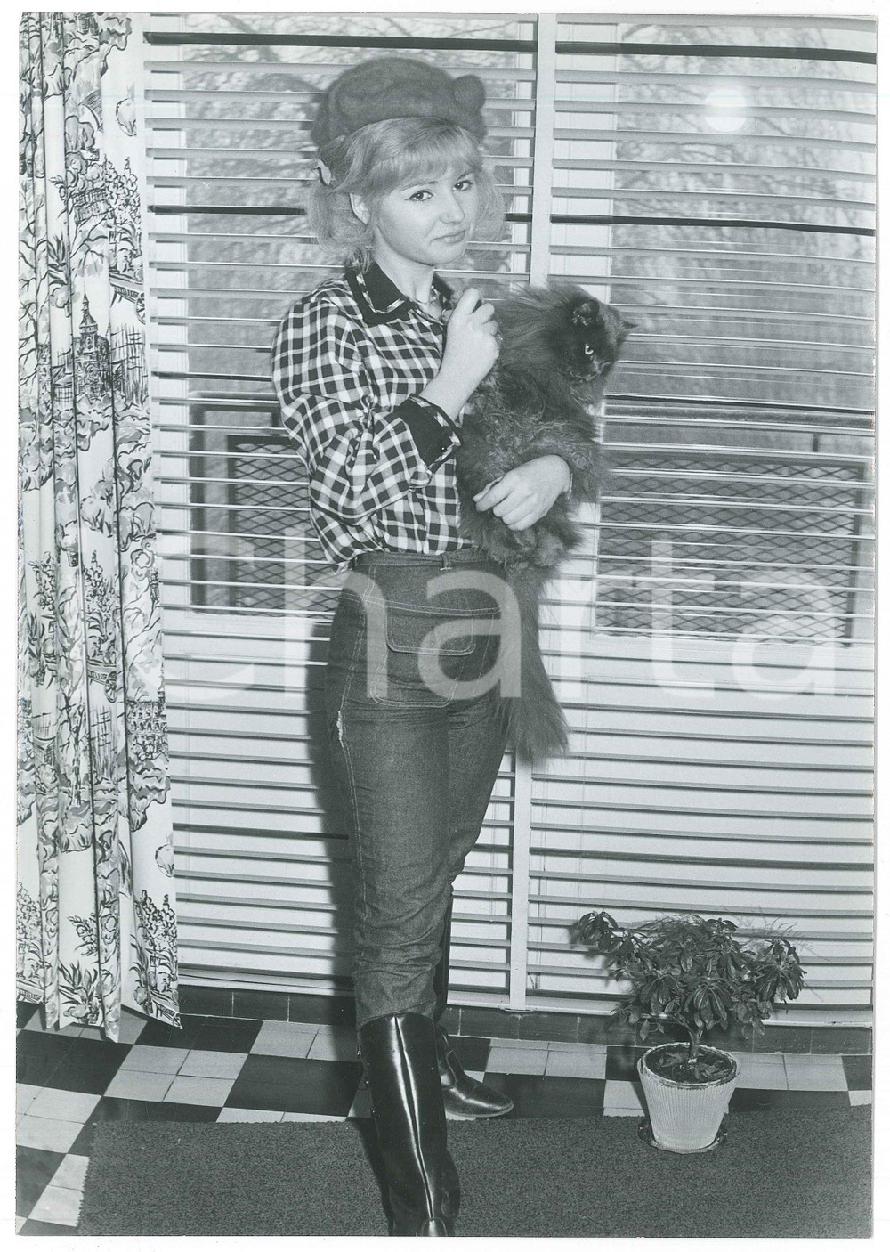 Fotografia d epoca originale 1960 ca FRANCE Chanteuse PEGGY Evelyn LESOURD avec son chat Photo 1