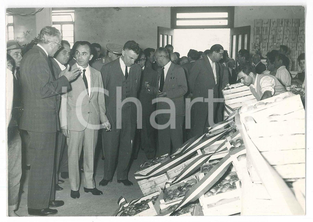 Fotografia d epoca originale 1950 ca VALEGGIO SUL MINCIO Mercato ortofrutticolo A.P.F.O.V. AutoritÃ  in visita 1