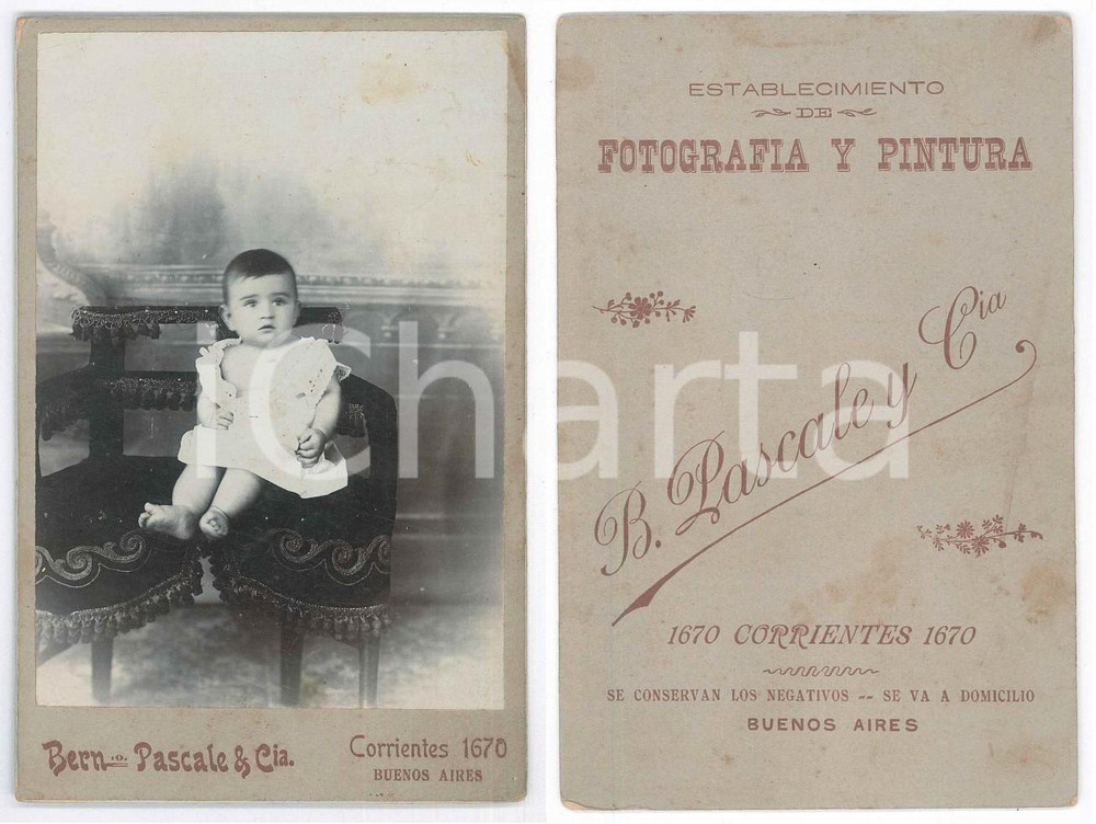 1910 ca BUENOS AIRES Bambina su poltroncina - Foto Bernardino PASCALE 10x16 cm