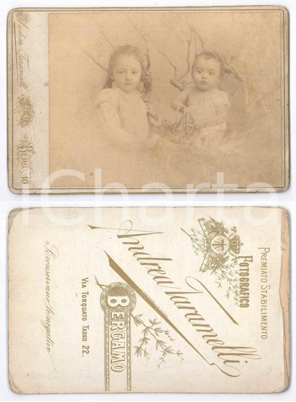 Fotografia d epoca originale 1900 ca BERGAMO Ritratto di due bambini tra i rami  Foto Andrea TARAMELLI 11x16 1