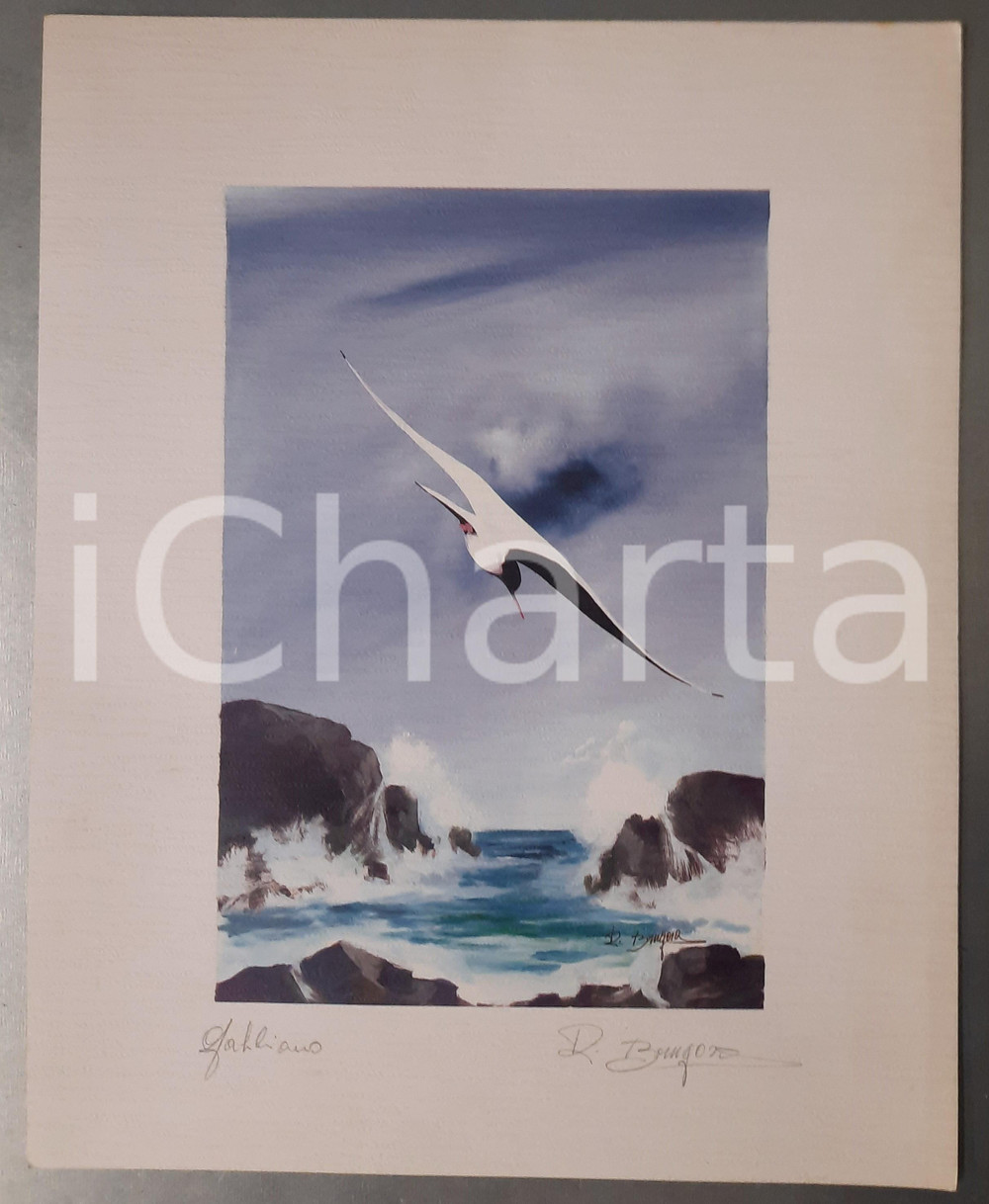 Opera d’arte autentica 1970 ca ARTE Romano BRUGORA  Gabbiano   Litografia 24x30 cm 1