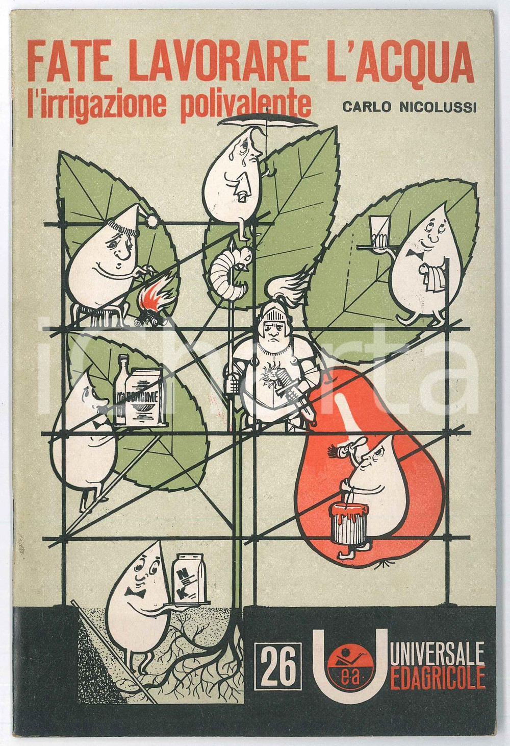 Libro, pubblicazione d epoca 1969 Carlo NICOLUSSI Fate lavorare l acqua  Irrigazione polivalente EDAGRICOLE 1