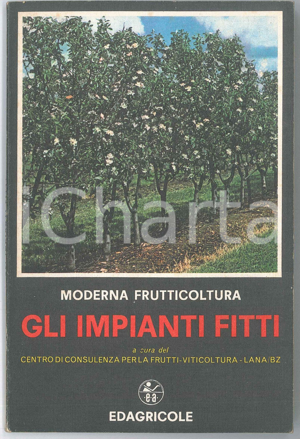 Libro, pubblicazione d epoca 1974 LANA Centro consulenza per viticoltura  Impianti Fitti  EDAGRICOLE 1