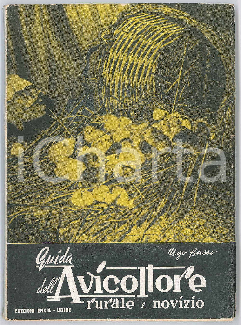 Libro, pubblicazione d epoca 1956 Ugo BASSO Guida dell avicoltore rurale e novizio Ed. ENCIA ILLUSTRATO 1