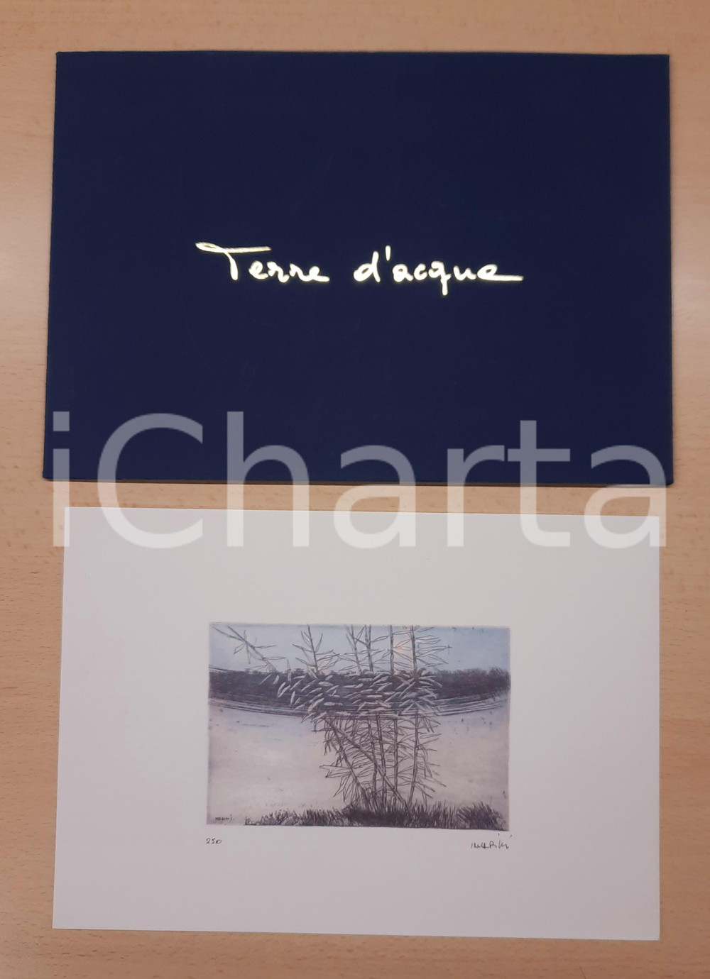 Stampa, bozzetto originale 1992 SIAPA  Lorenzo INDRIMI  Stampa Terre d acqua 25x17 cm 1