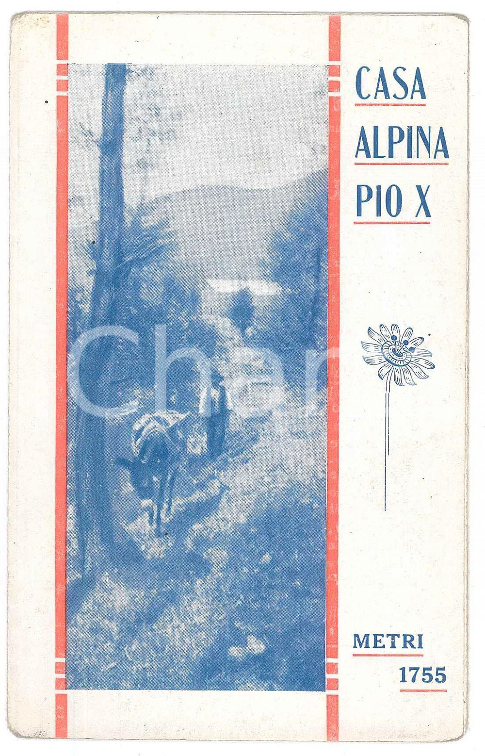 Materiale pubblicitario d’epoca 1950 ca INTROBIO  CONCA DI BIADINO Casa Pio X  Ass. Studenti SAN STANISLAO 1