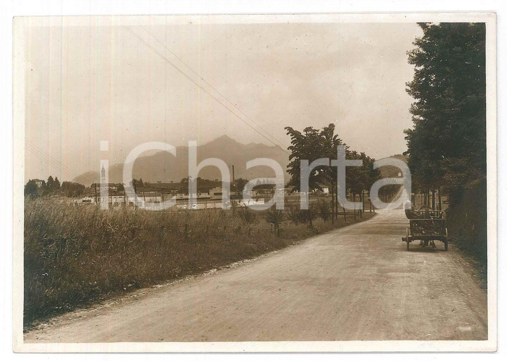 Fotografia d epoca originale 1940 ca OGGIONO LC Viale di accesso Fotografia ANIMATA carretto 15x10 cm 1