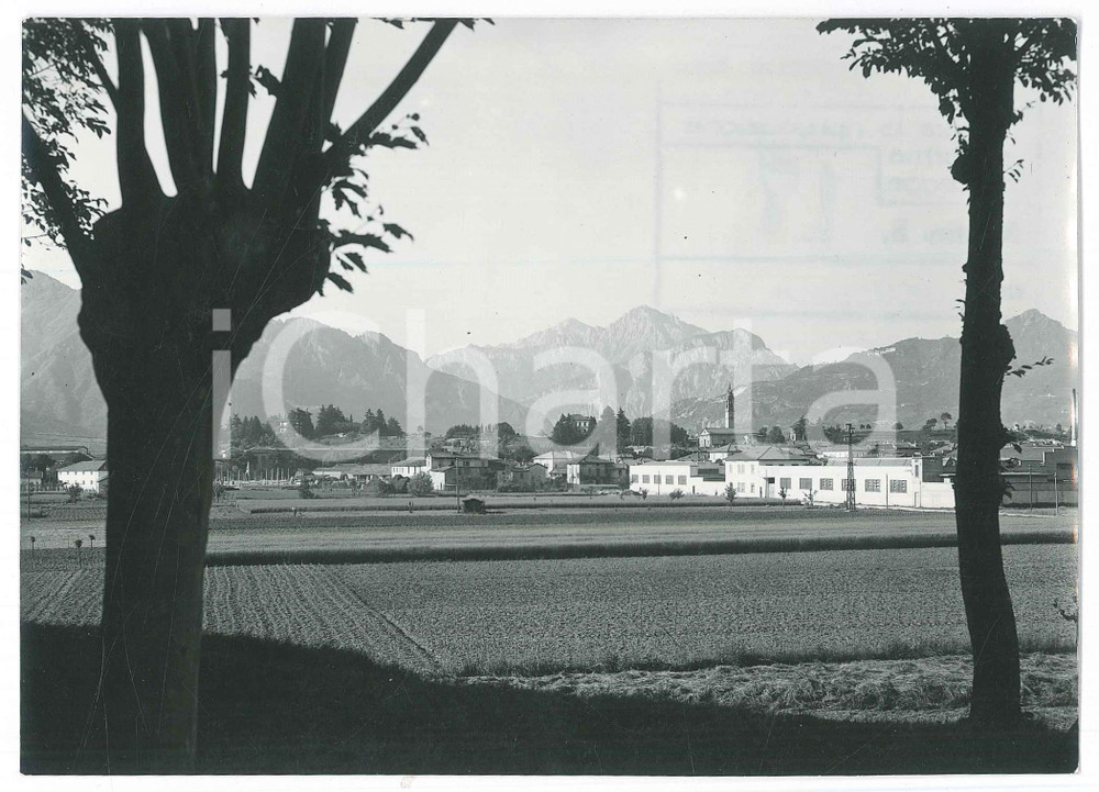 Fotografia d epoca originale 1952 OGGIONO LC Veduta panoramica con le montagne  Fotografia 12x17 cm 1