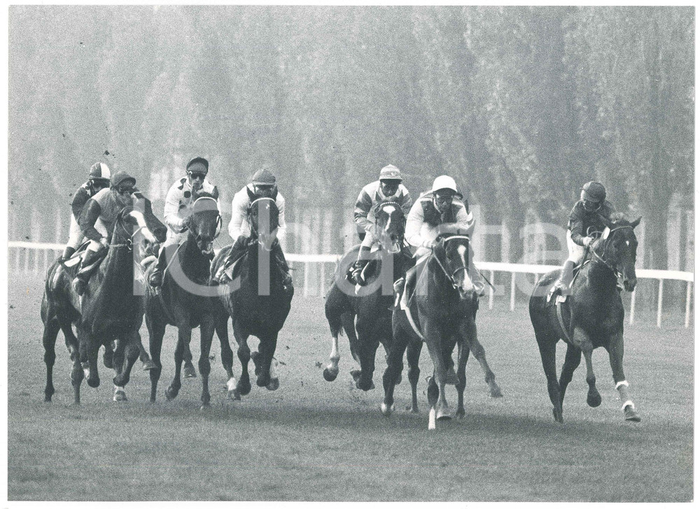 Fotografia d epoca originale 1978 MILANO Ippodromo di SAN SIRO Gara di ippica  Foto 30x22 cm 1