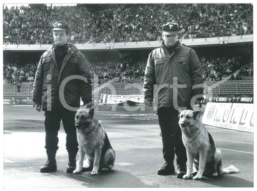 Fotografia d epoca originale 1980 ca TORINO Stadio Comunale  CARABINIERI  Unità cinofile  Foto 24x18 cm 1