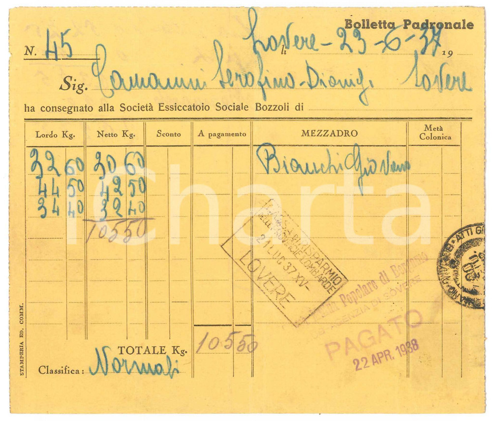 Documento originale, autentico 1937 LOVERE BG Bolletta padronale per consegna a Essiccatoio Sociale BOZZOLI 1