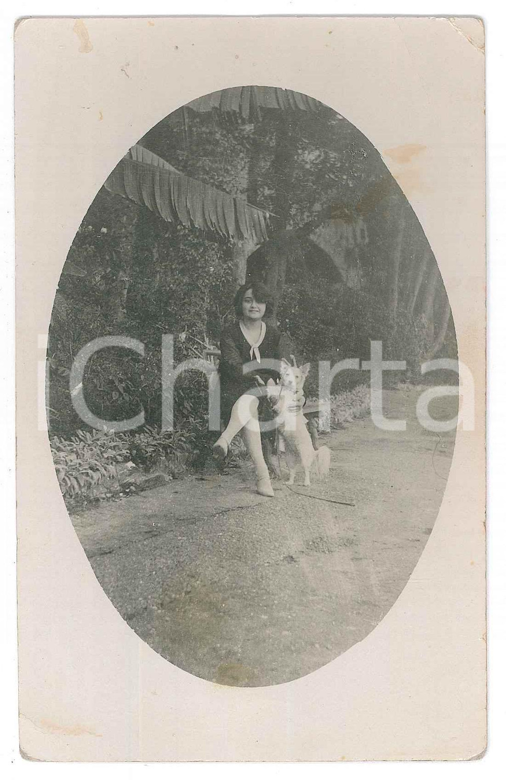 Fotografia d epoca originale 1920 ca COSTUME ITALIA Giovane donna con il suo cane  Ritratto Fotocartolina 1