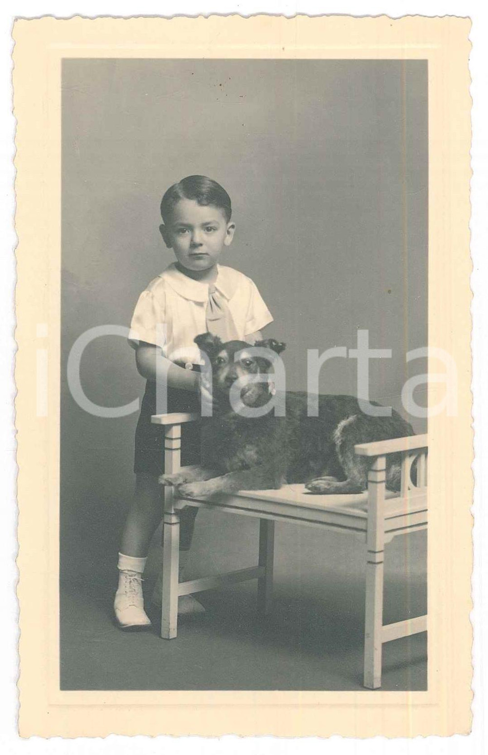 Fotografia d epoca originale 1937 BUSTO ARSIZIO Bambino con cane  Foto R. RUMI 8x13 cm 1