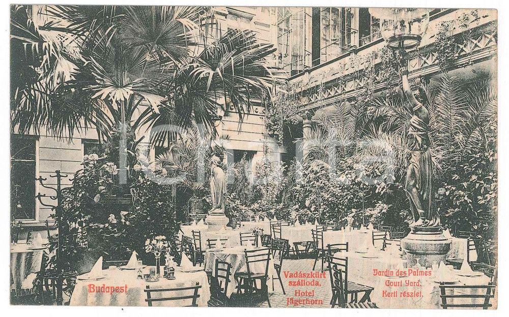 Cartolina originale da collezione 1910 ca BUDAPEST Hotel Jagerhorn  Vadaszkurt szalloda  Postcard FP NV 1