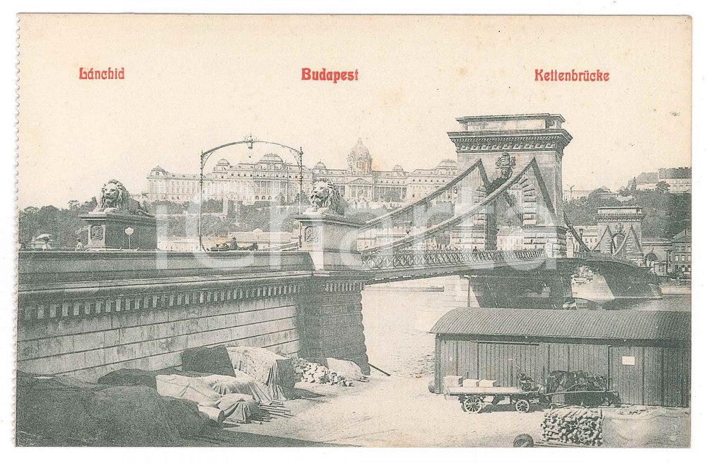 Cartolina originale da collezione 1910 ca BUDAPEST SzÃ©chenyi LÃ¡nchÃ­d  SzÃ©chenyi Chain Bridge  Postcard FP NV 1