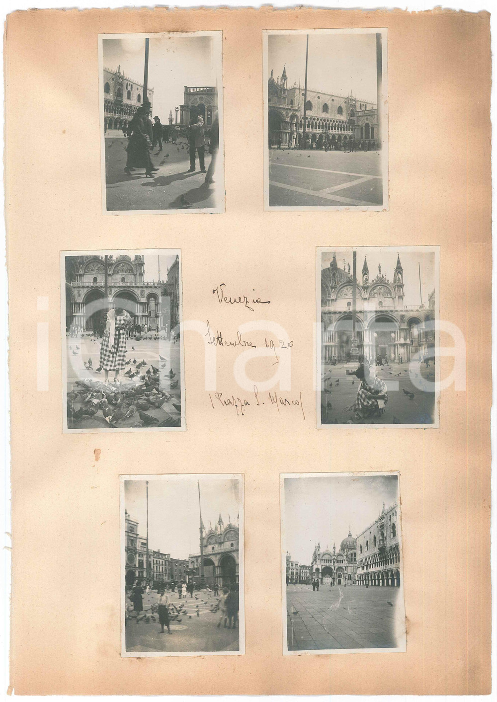 Fotografia d epoca originale 1920 VENEZIA  Piazza San Marco  Donna tra i piccioni Lotto 6 foto 6x8 cm 1