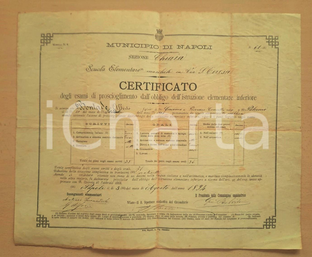 Oggetto da collezione cartaceo 1894 NAPOLI CHIAIA Scuola elementare via S. Teresa Certificato studi elementari 1
