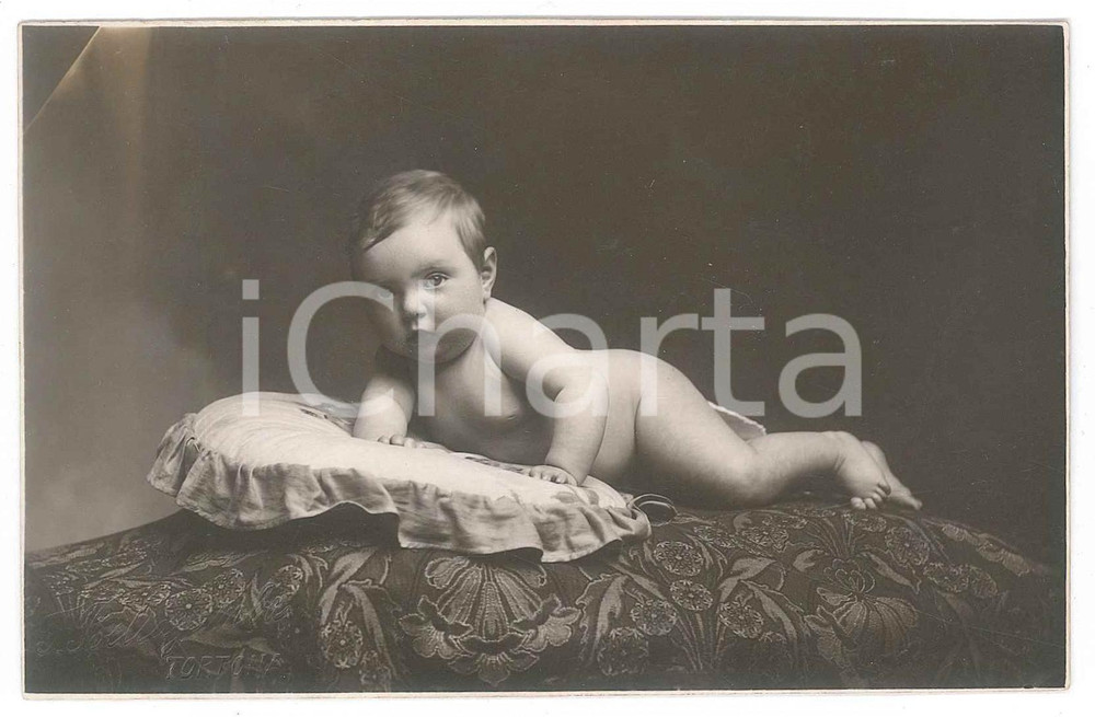 Fotografia d epoca originale 1920 ca TORTONA Marina FANTONE a 8 mesi  Ritratto Foto F. BELLAGAMBA 14x9 cm 1