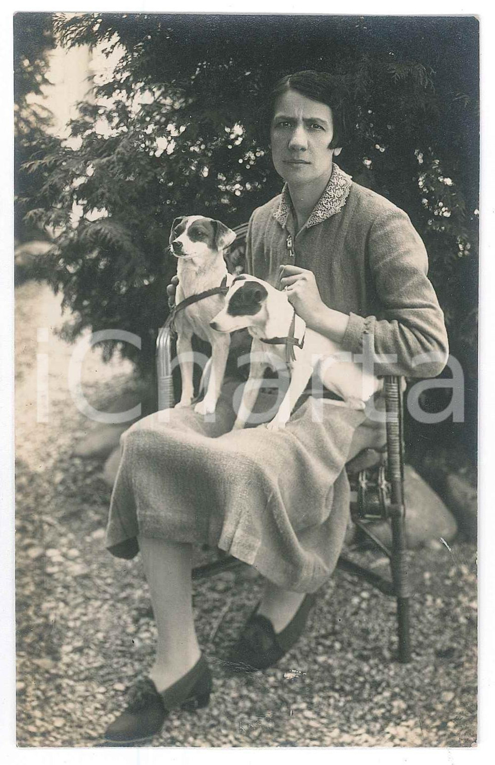 Fotografia d epoca originale 1940 ca COSTUME ITALIA  Donna con due cani  Ritratto  Foto anonima 9x14 cm 1