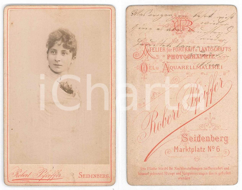 Fotografia d epoca originale 1890 ca ZAWIDOW / SEIDENBERG POLAND Young woman  Photo Robert PFEIFFER CDV 1