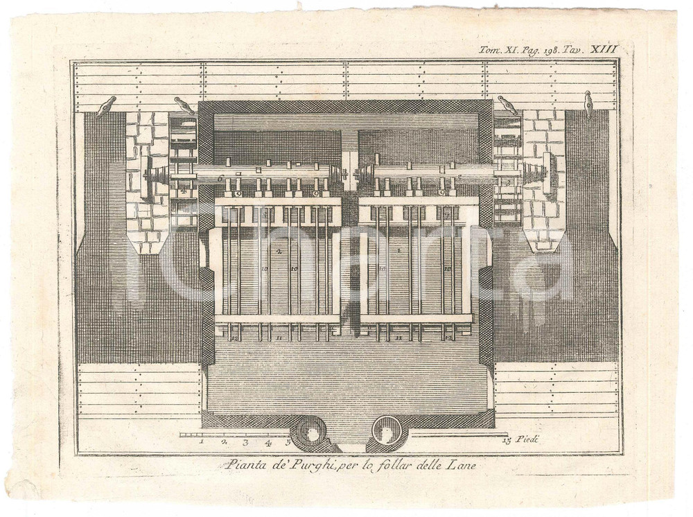 Stampa, bozzetto originale 1767 ? LO SPETTACOLO DELLA NATURA  Pianta de  purghi per lo follar delle lane 1