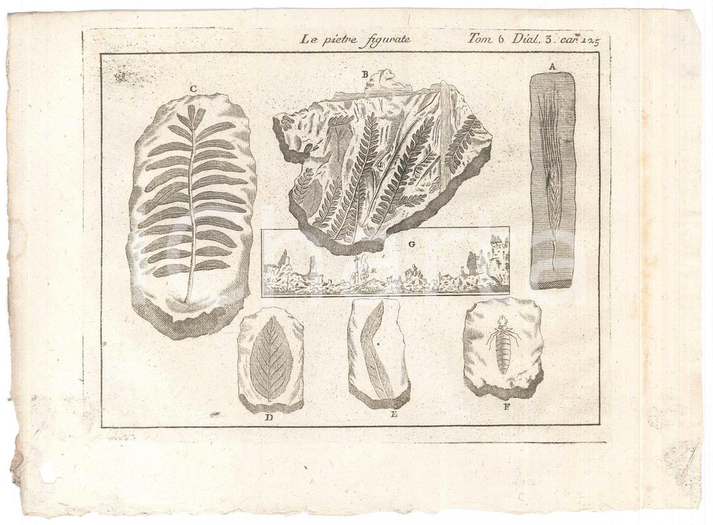 Stampa, bozzetto originale 1767 ? LO SPETTACOLO DELLA NATURA  Le pietre figurate Stampa tomo 6 1
