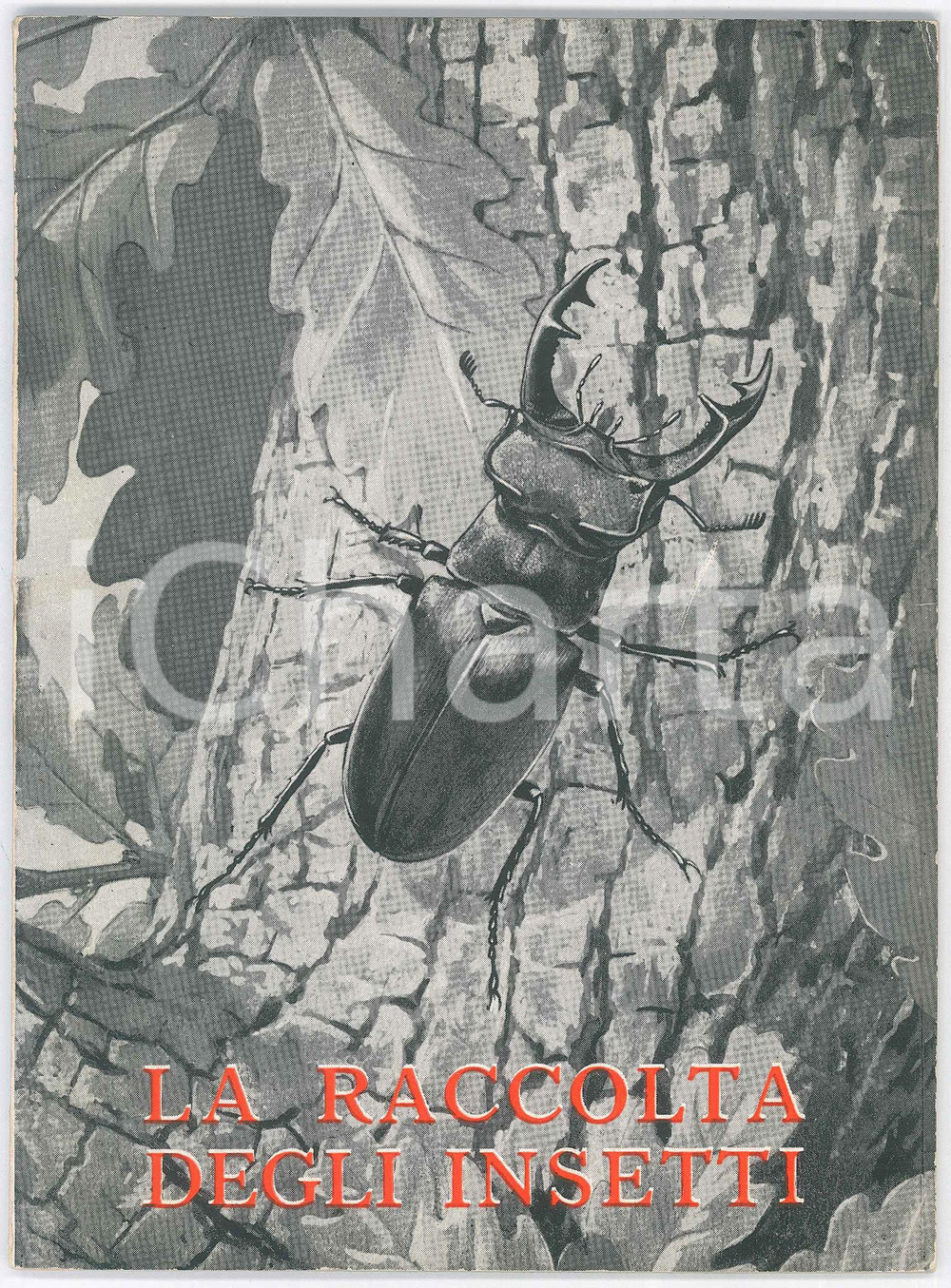 Libro, pubblicazione d epoca 1955 Emanuele SÃœSS La raccolta degli insetti  ILLUSTRATO 62 pp. 1
