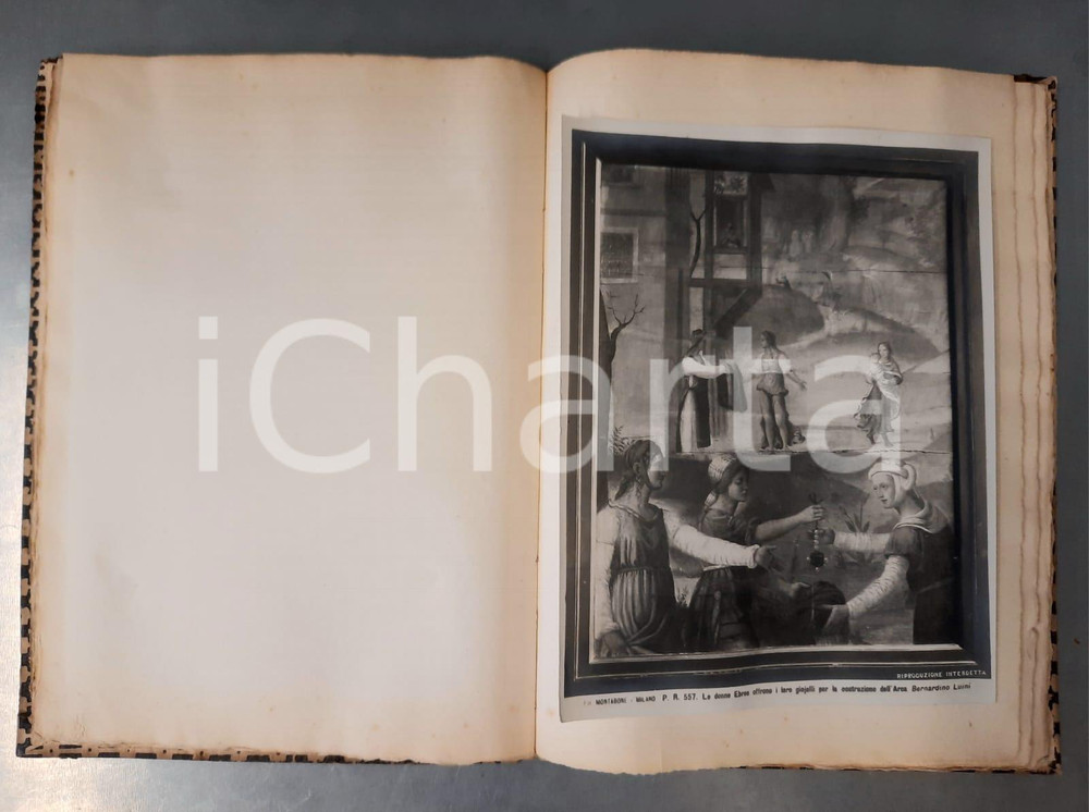 Libro, pubblicazione d epoca 1910 ca MILANO Regia Pinacoteca BRERA  Album 12 foto MONTABONE 1