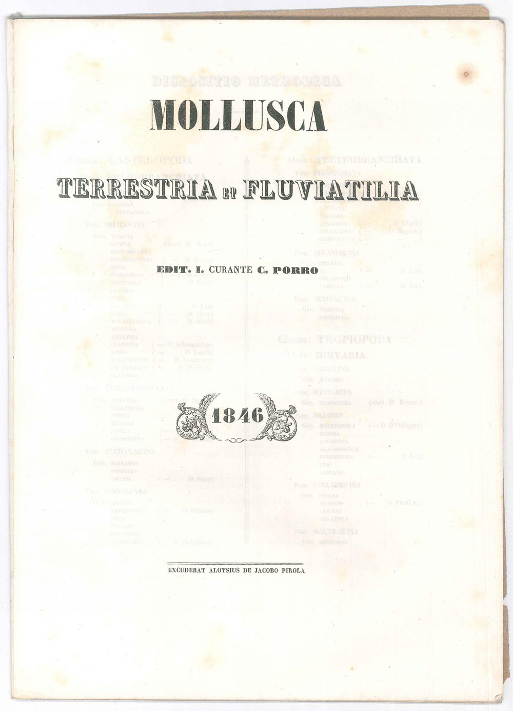 1864 MILANO Musei - Collectiones Rerum Naturalium - C. PORRO Mollusca *35 pp. Pubblicazione originale d'epoca, contenente la classificazione dei molluschi terrestri e fluviali appartenenti alle collezioni dei musei milanesi.Copertina non originale in carta; .PAGINE: 35EDITORE: Milano - Pirola FAIR/discreto piegature angolari; qualche fioritura; la copertina in carta presenta adesivo al dorso Formato: 21x29 cm originale e autentica 1