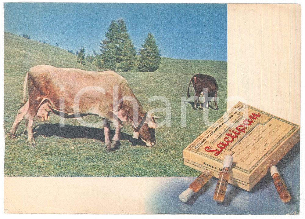 Materiale pubblicitario d’epoca 1950 ca MILANO Istituto biochimico italiano LACTIPAN Cartoncino pubblicitario 1