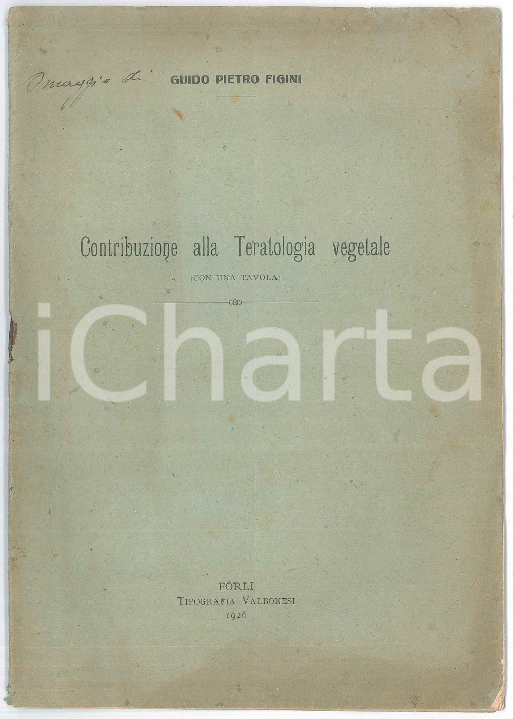 Libro, pubblicazione d epoca 1926 Guido Pietro FIGINI Contribuzione alla teratologia vegetale  Pubblicazione 1