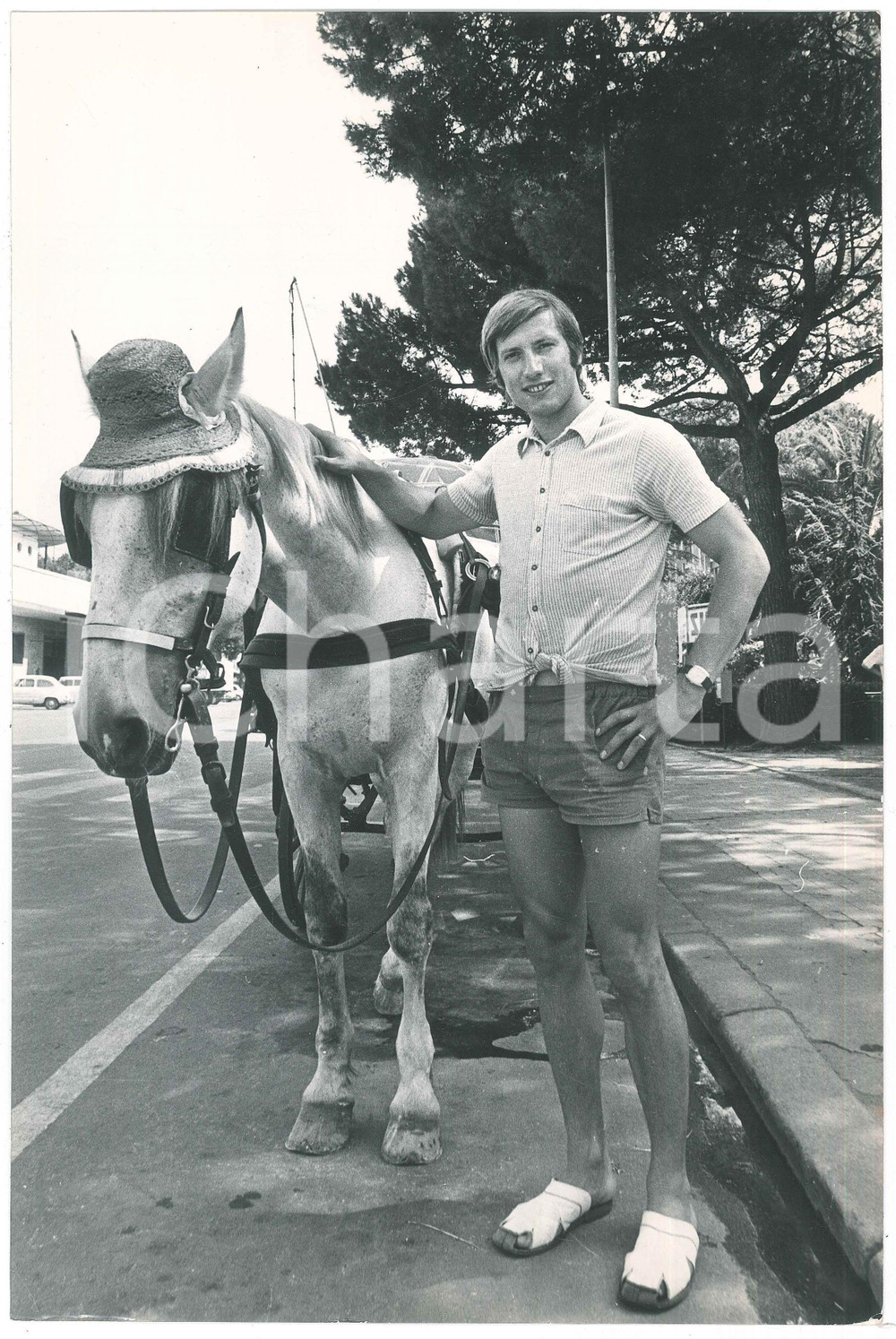 1970 ca CALCIO - JUVENTUS Pietro GEDEONE CARMIGNANI con cavallo - Foto 20x30 cm