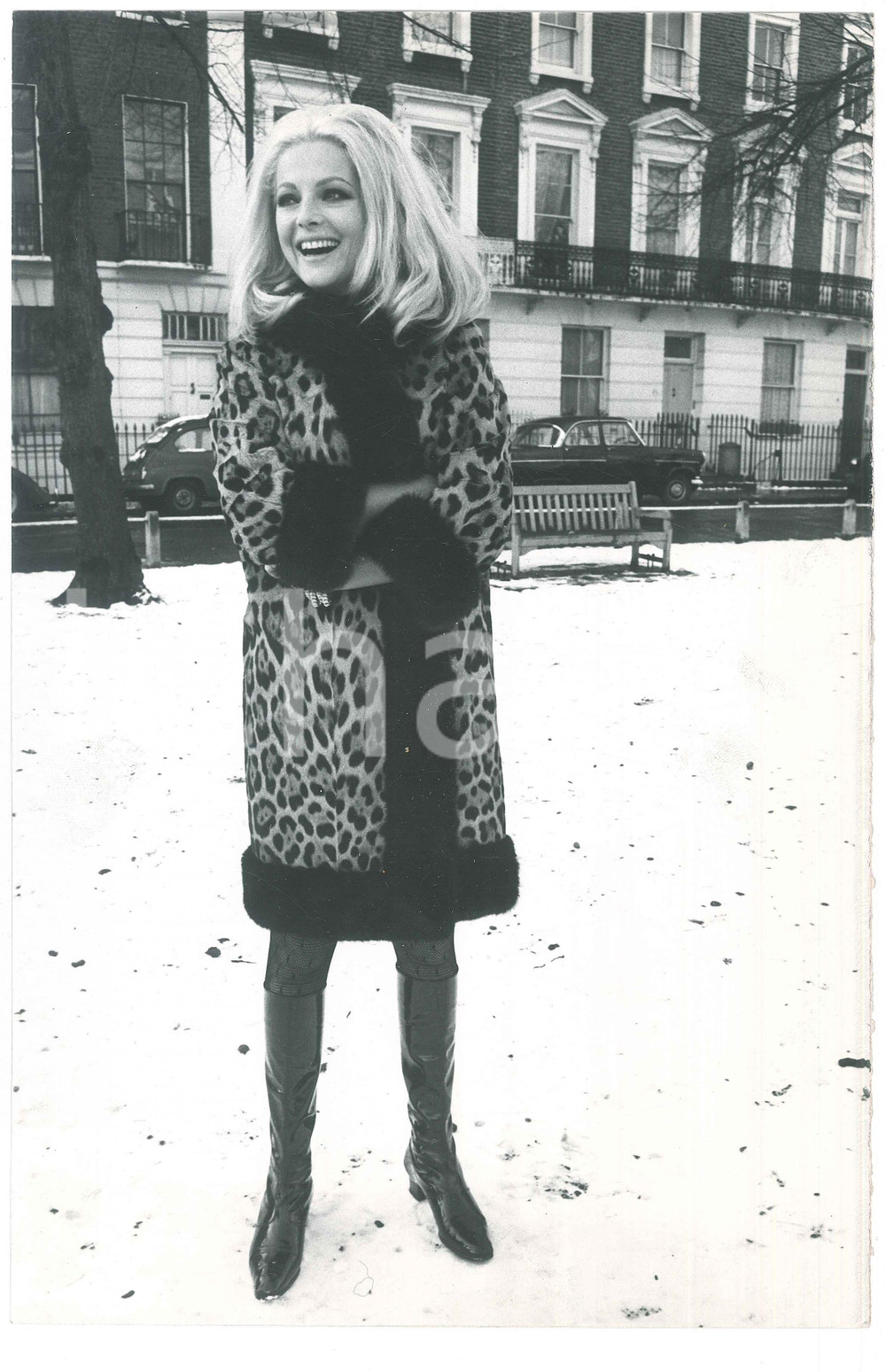 Fotografia d epoca originale 1970 ca ITALIA  CINEMA Virna LISI Ritratto dell attrice  Foto 20x30 cm 1