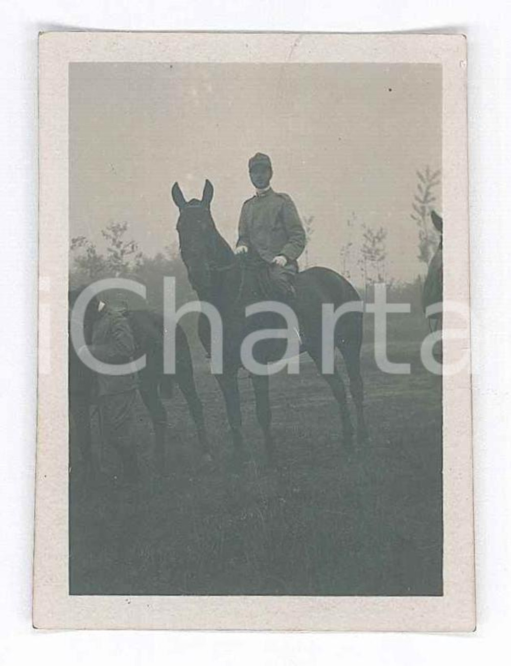 Fotografia d epoca originale 1917 WW1 ZONA DI GUERRA Ufficiale italiano a cavallo Foto 4x6 cm 1