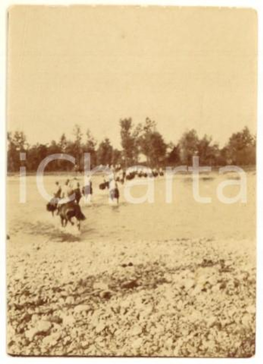 Fotografia d epoca originale 1918 WW1 ZONA DI GUERRA Ufficiali italiani a cavallo al guado Foto 4x6 cm 1