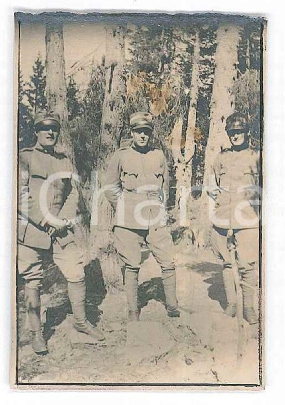 Fotografia d epoca originale 1918 WW1 ZONA DI GUERRA Tre ufficiali di artiglieria in un bosco  Foto 4x6 cm 1