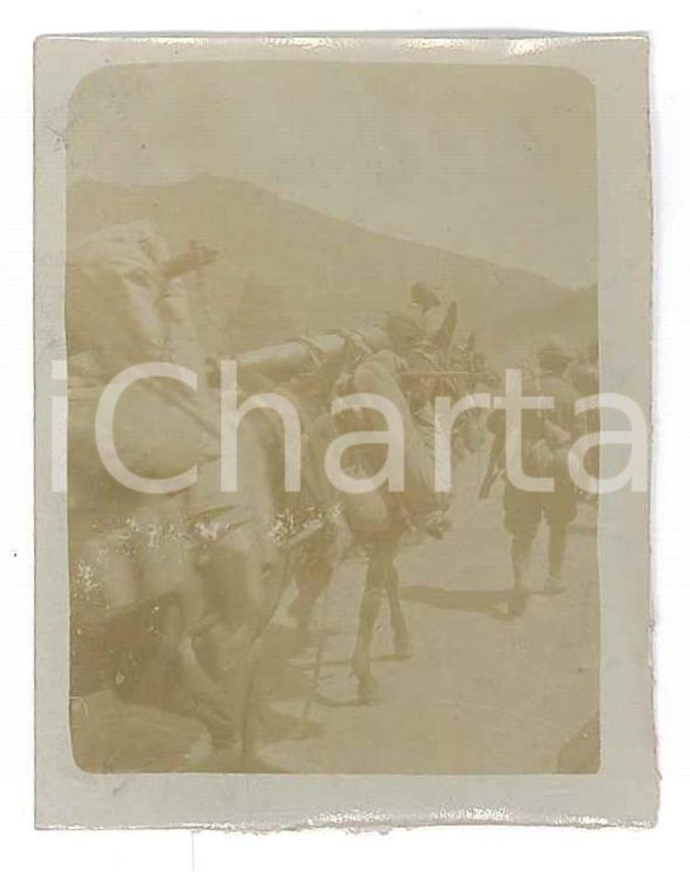 Fotografia d epoca originale 1918 WW1 ZONA DI GUERRA Artiglieria di montagna verso la linea Foto 4x6 cm 1