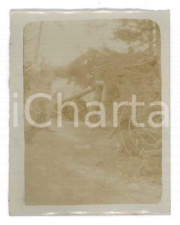 Fotografia d epoca originale 1918 WW1 ZONA DI GUERRA Cannone italiano in montagna Foto 4x6 cm 1