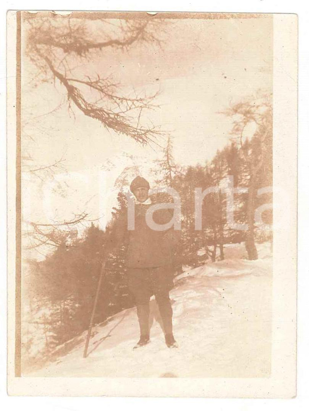 Gennaio 1918 WW1 ZONA DI GUERRA Ufficiale in un bosco *Foto 6x9 cm