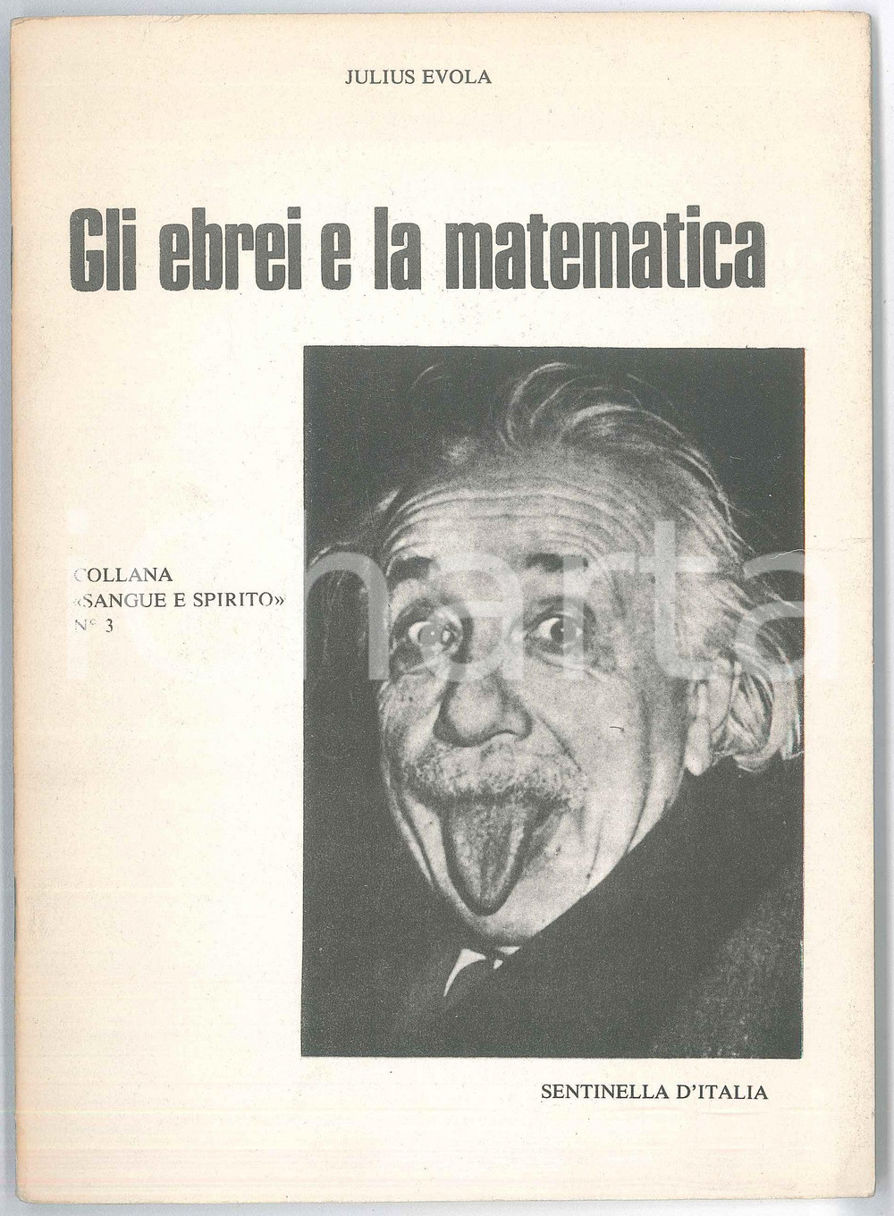 Libro, pubblicazione d epoca 1978 Julius EVOLA Gli ebrei e la matematica  Ed. Sentinelle d  Italia 1