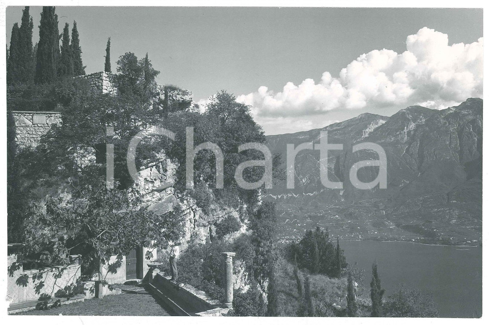 Fotografia d epoca originale 1960 ca LAGO DI GARDA Uomo coglie frutti  Panorama con terrazzo  Foto 22x14 cm 1